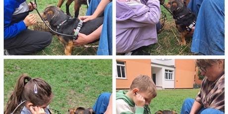 Powiększ grafikę: farma-spelnionych-marzen-633871.jpg