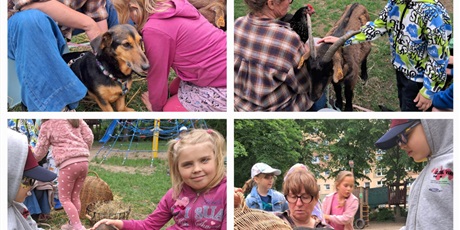 Powiększ grafikę: farma-spelnionych-marzen-633874.jpg