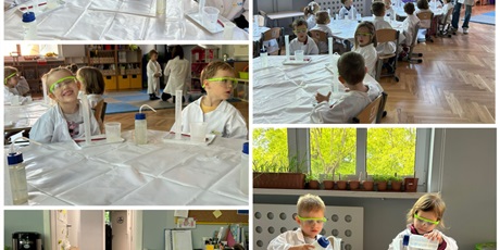 Powiększ grafikę: smartlab-sztuczny-snieg-633977.jpg