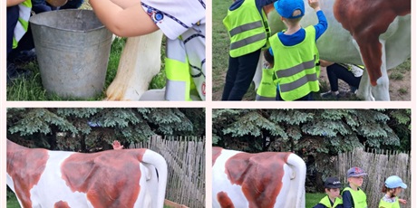 Powiększ grafikę: wycieczka-biedronek-633795.jpg