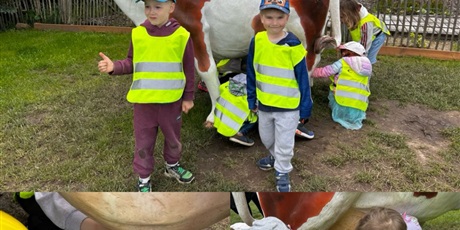 Powiększ grafikę: wycieczka-pszczolek-633812.jpg